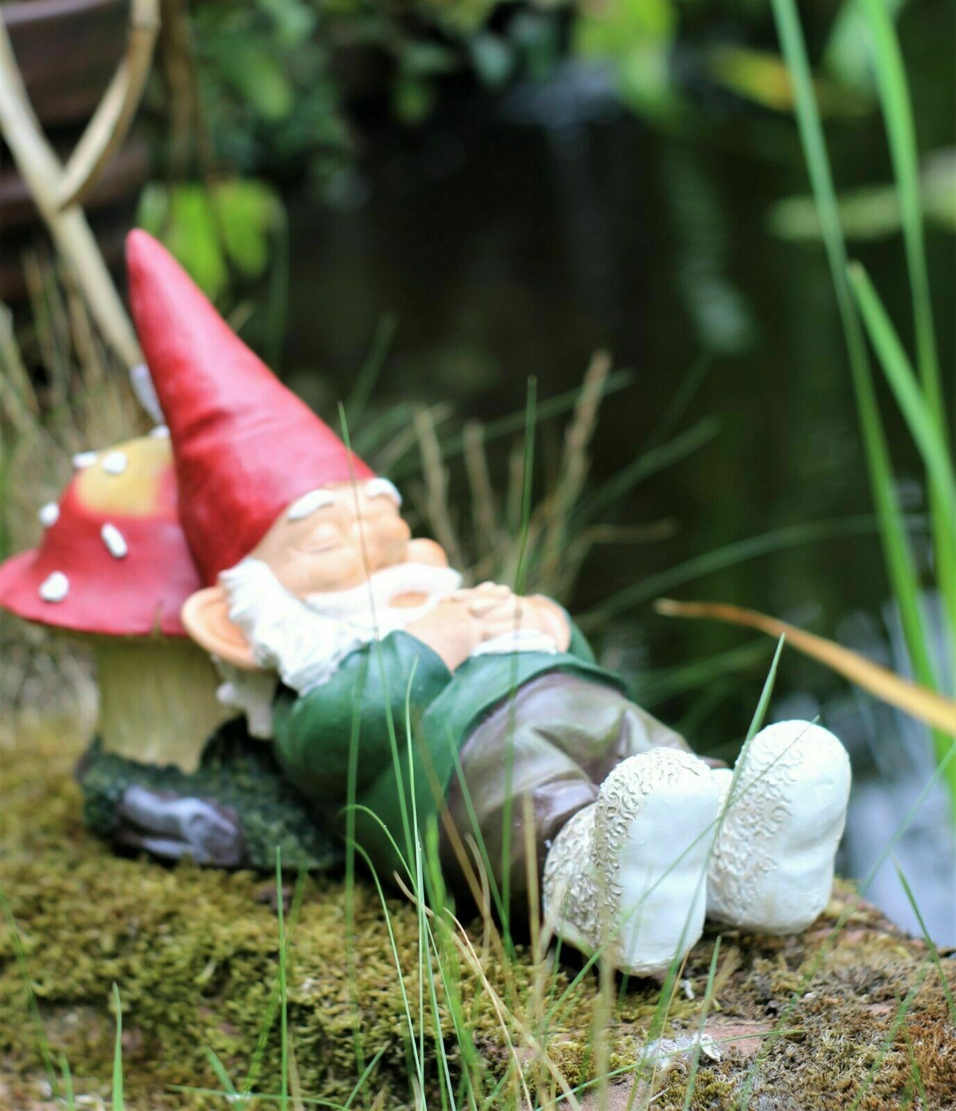 Sleeping Gnome