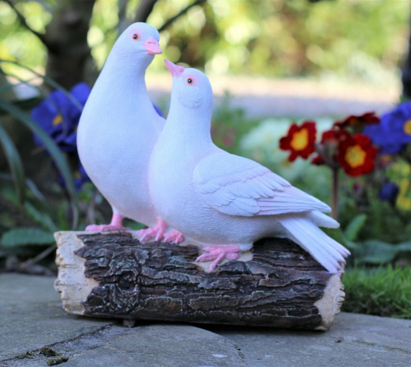 Love Doves