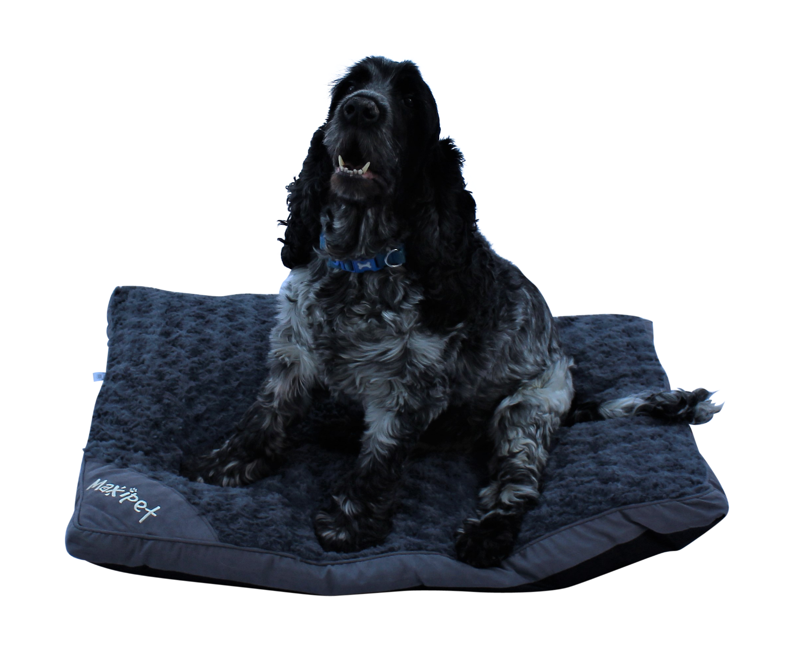 Super Soft Pet Bed Cushion