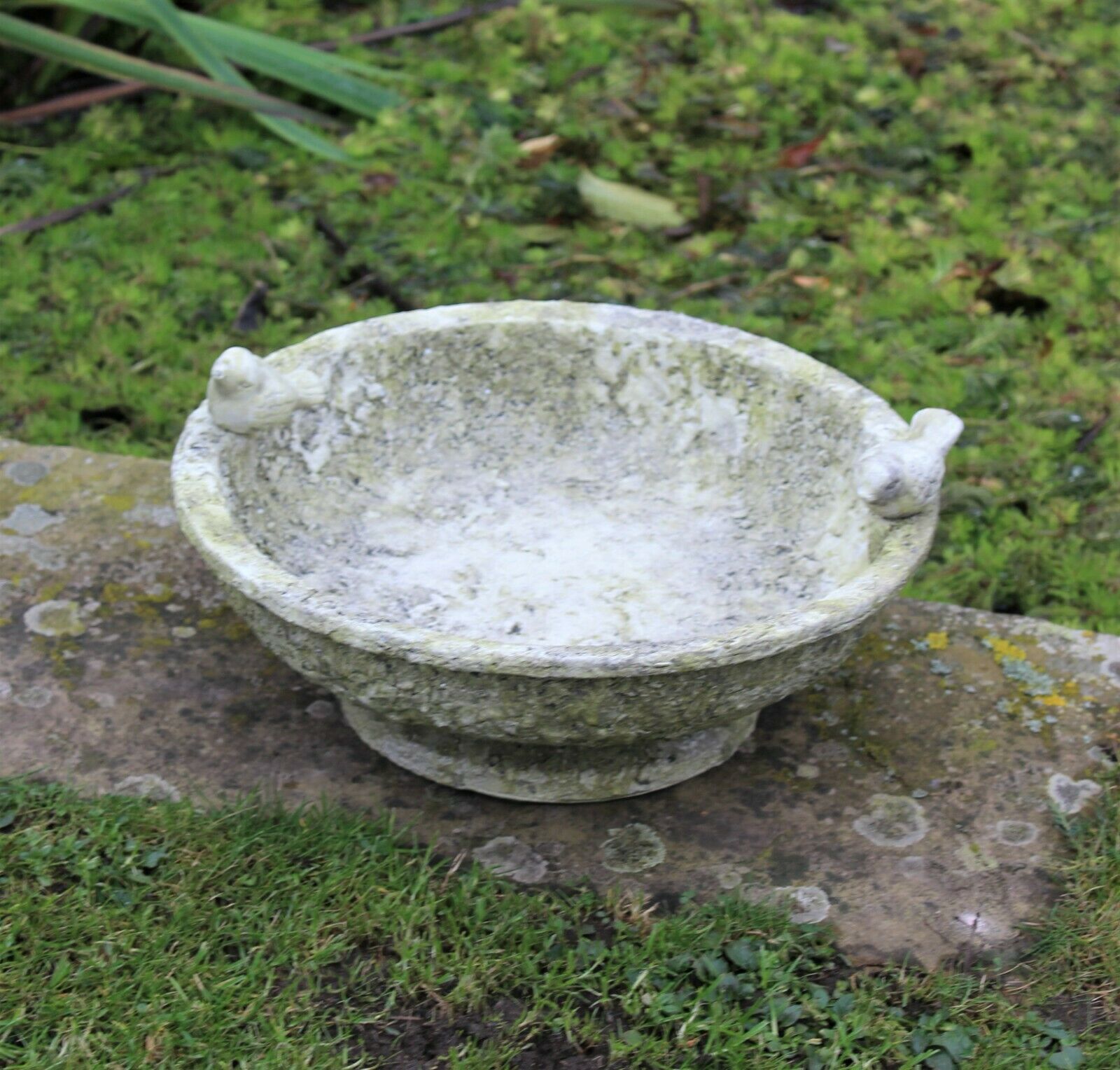 PEDESTAL BIRD BATH