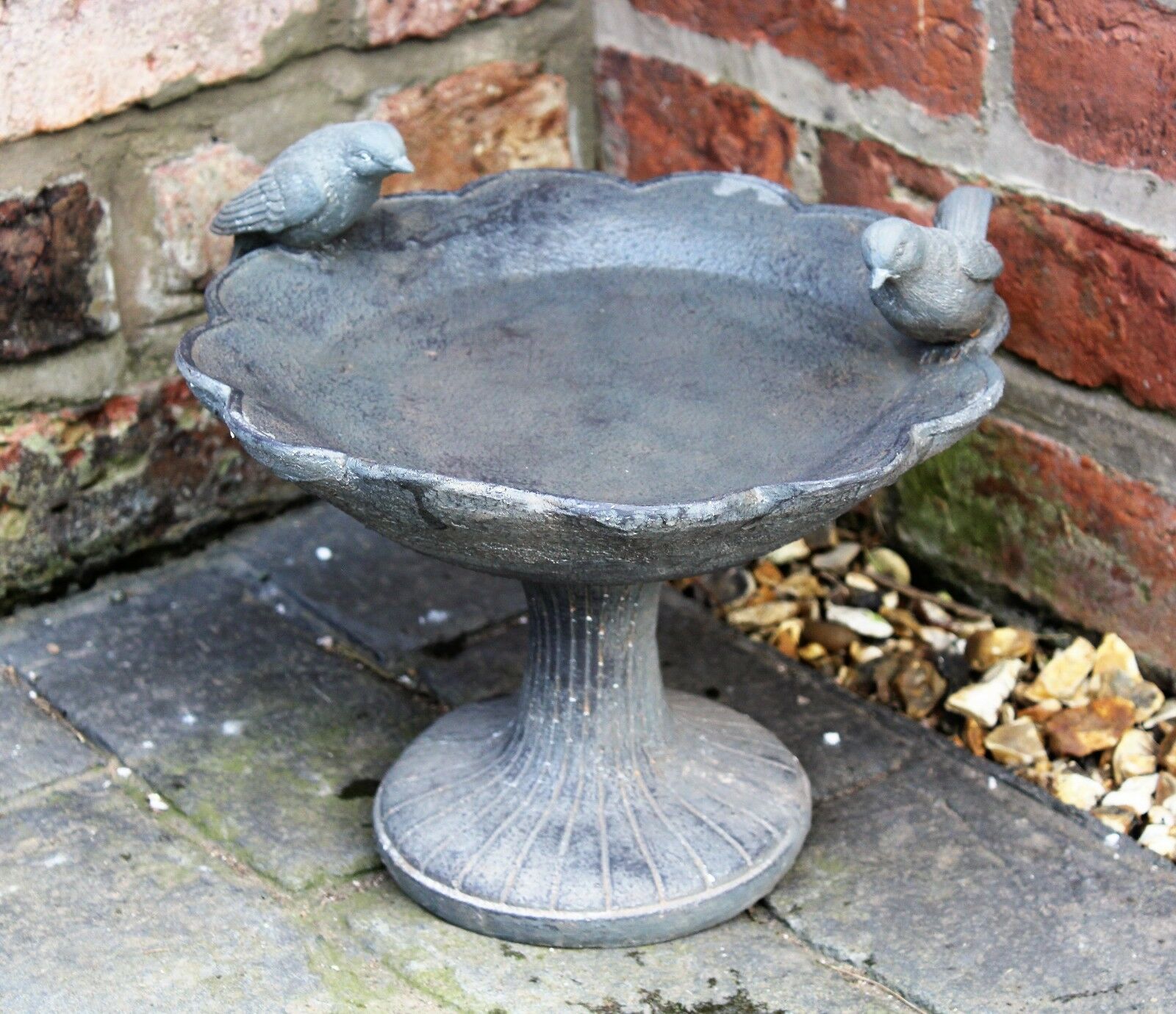 Bird Bath