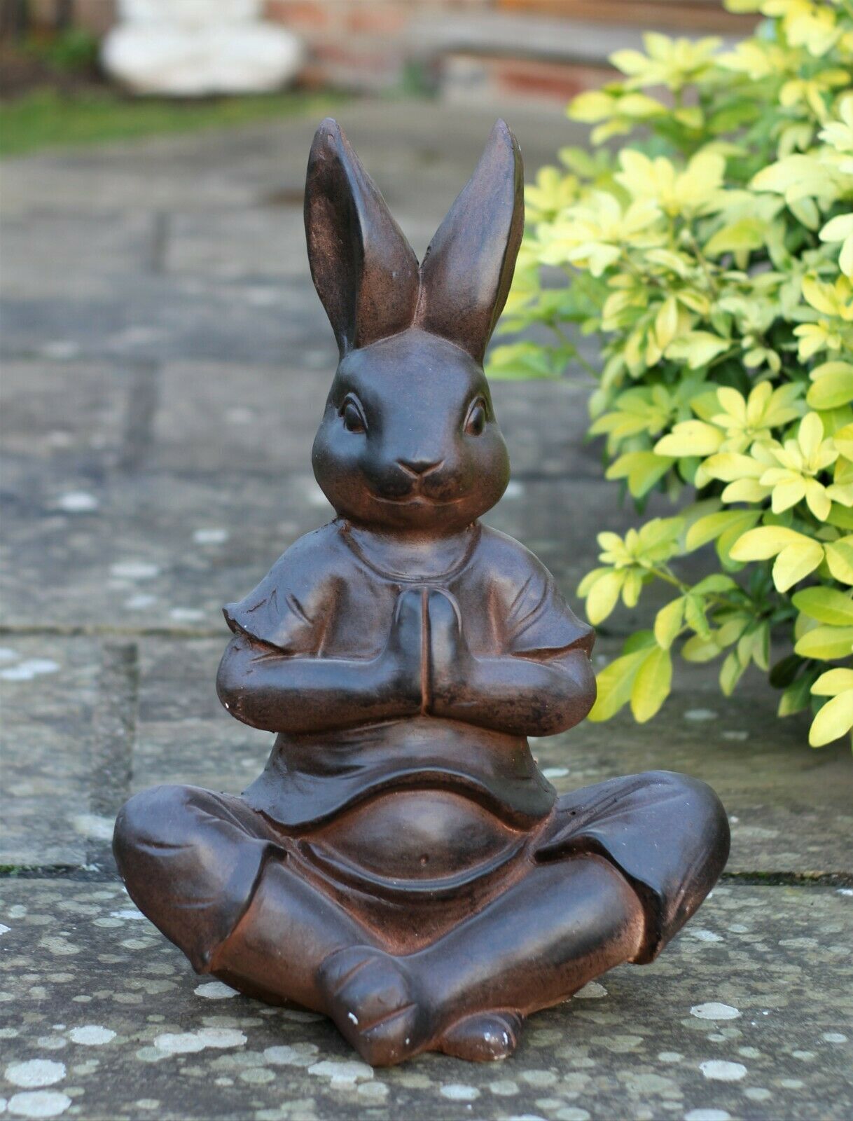 Yoga Rabbit