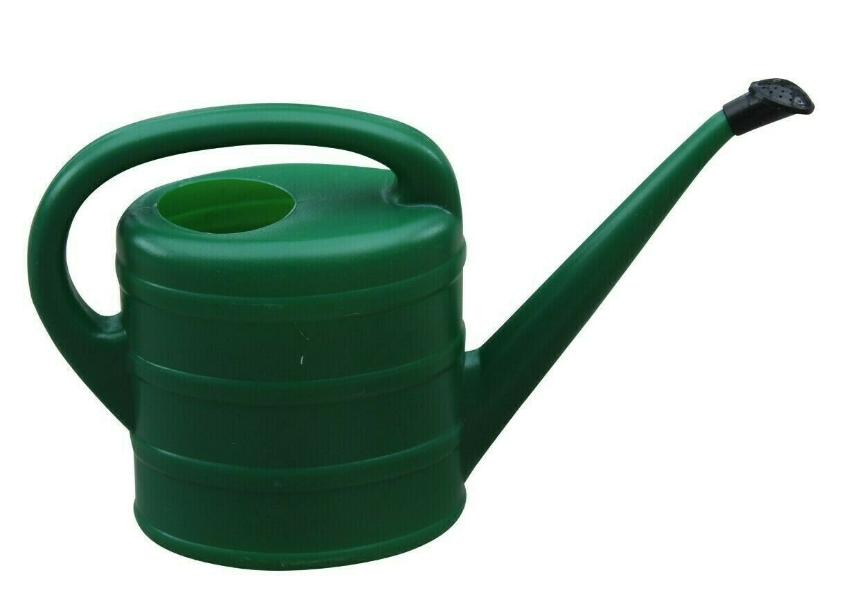 Small Green Watering Can With Rose