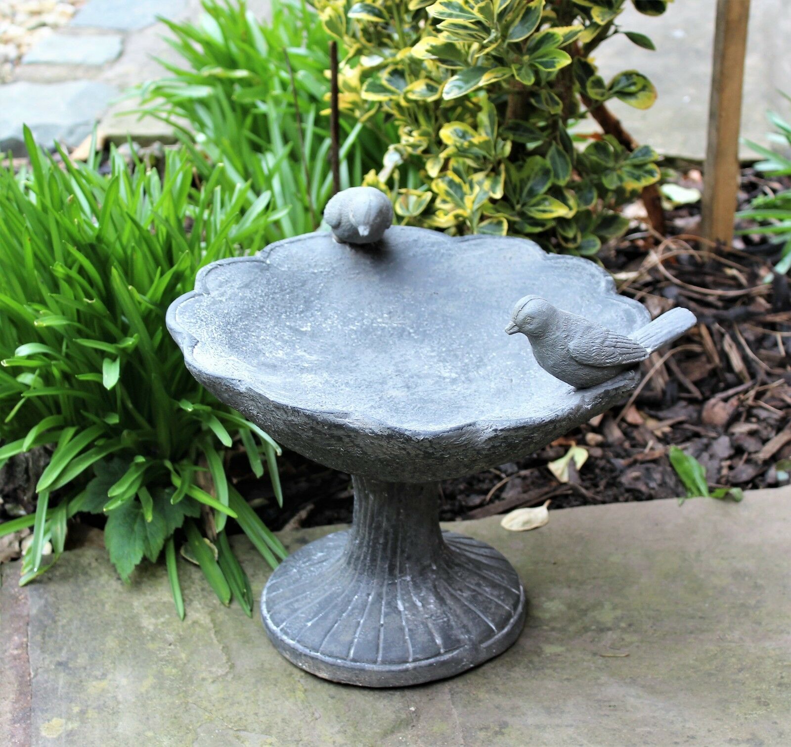 Bird Bath