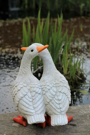 Pair of Ducks