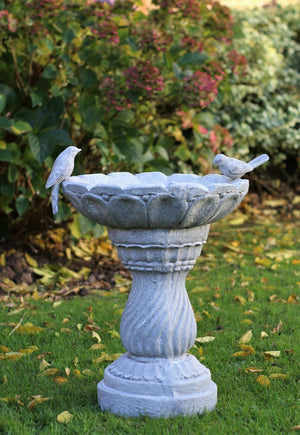 Slate Grey Bird Bath Bowl