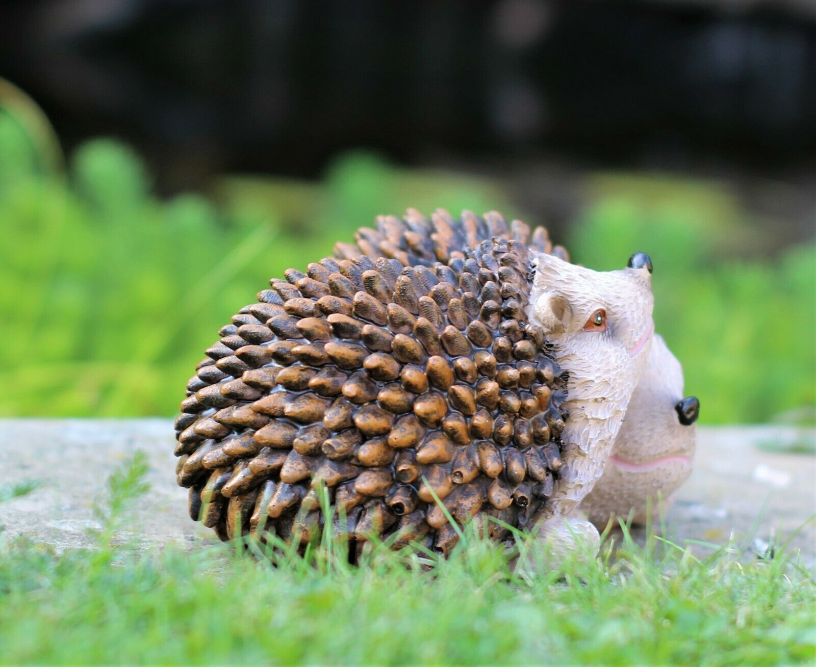 Pair of Baby Hedgehogs