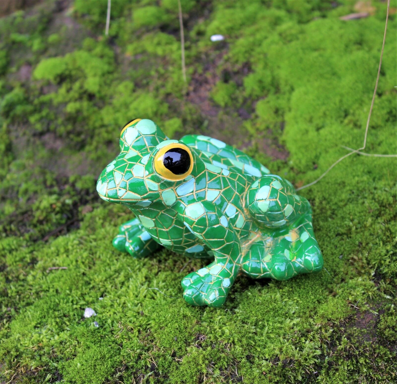 Mosaic Garden and Tree Frog