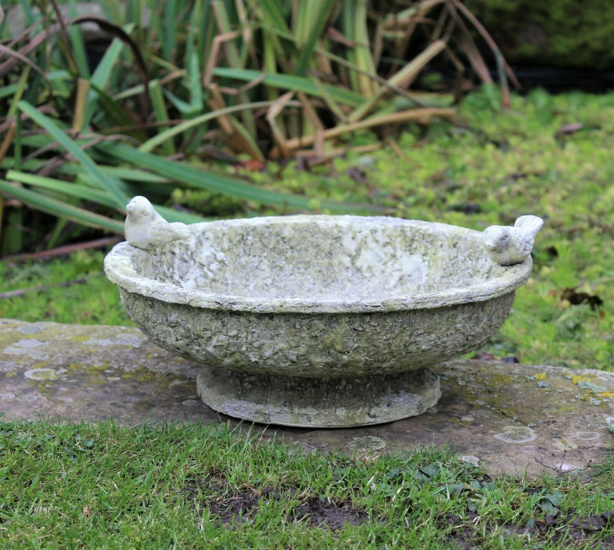 PEDESTAL BIRD BATH