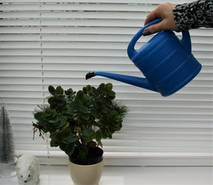 Blue Watering Can 1 Ltr