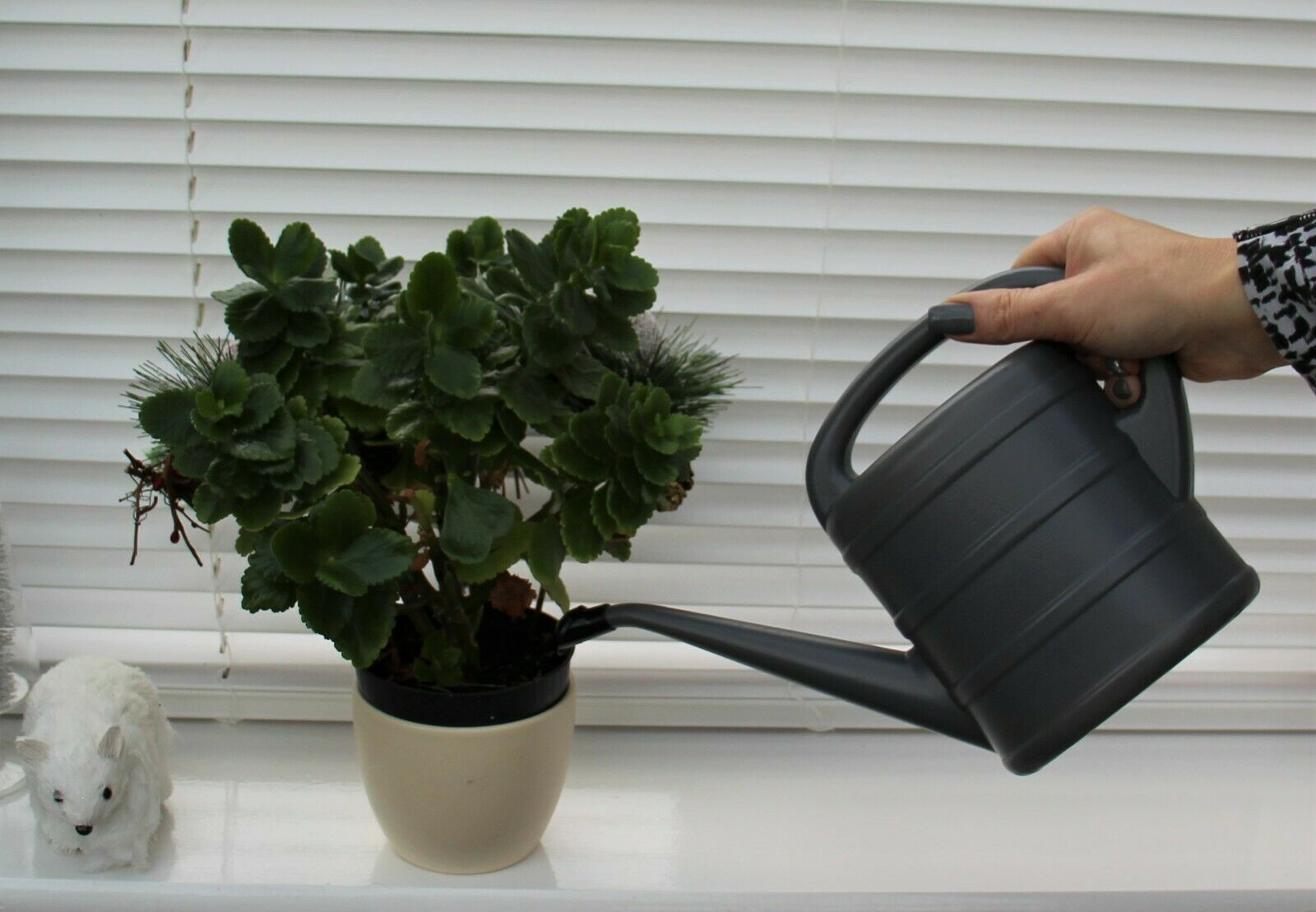 Grey Watering Can 1 Ltr