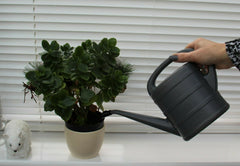 Grey Watering Can 1 Ltr