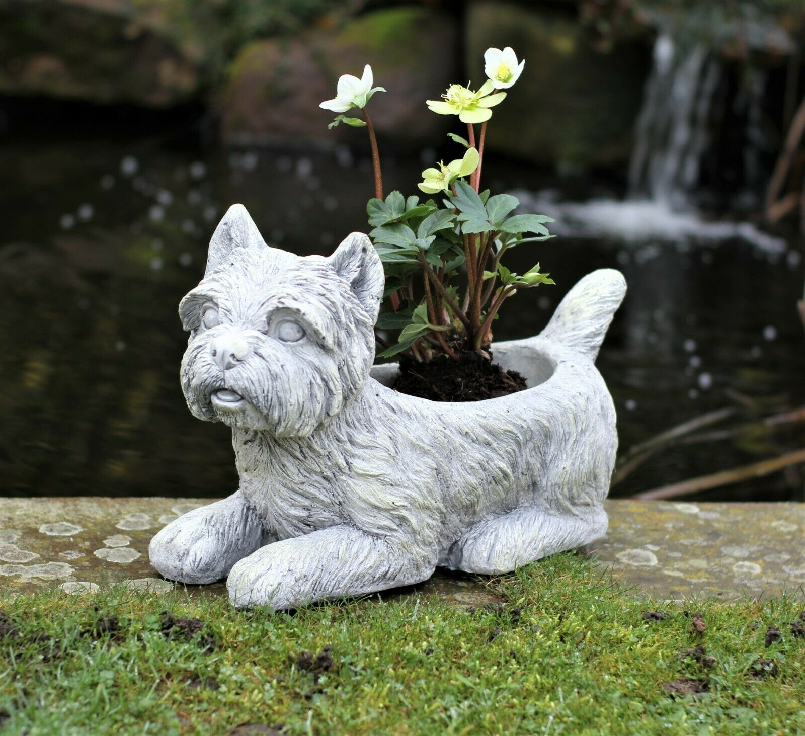 Westie Dog Pot Planter