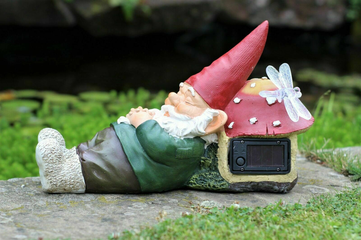 Sleeping Gnome