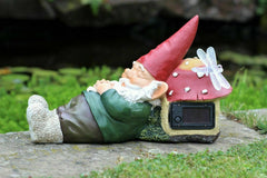 Sleeping Gnome