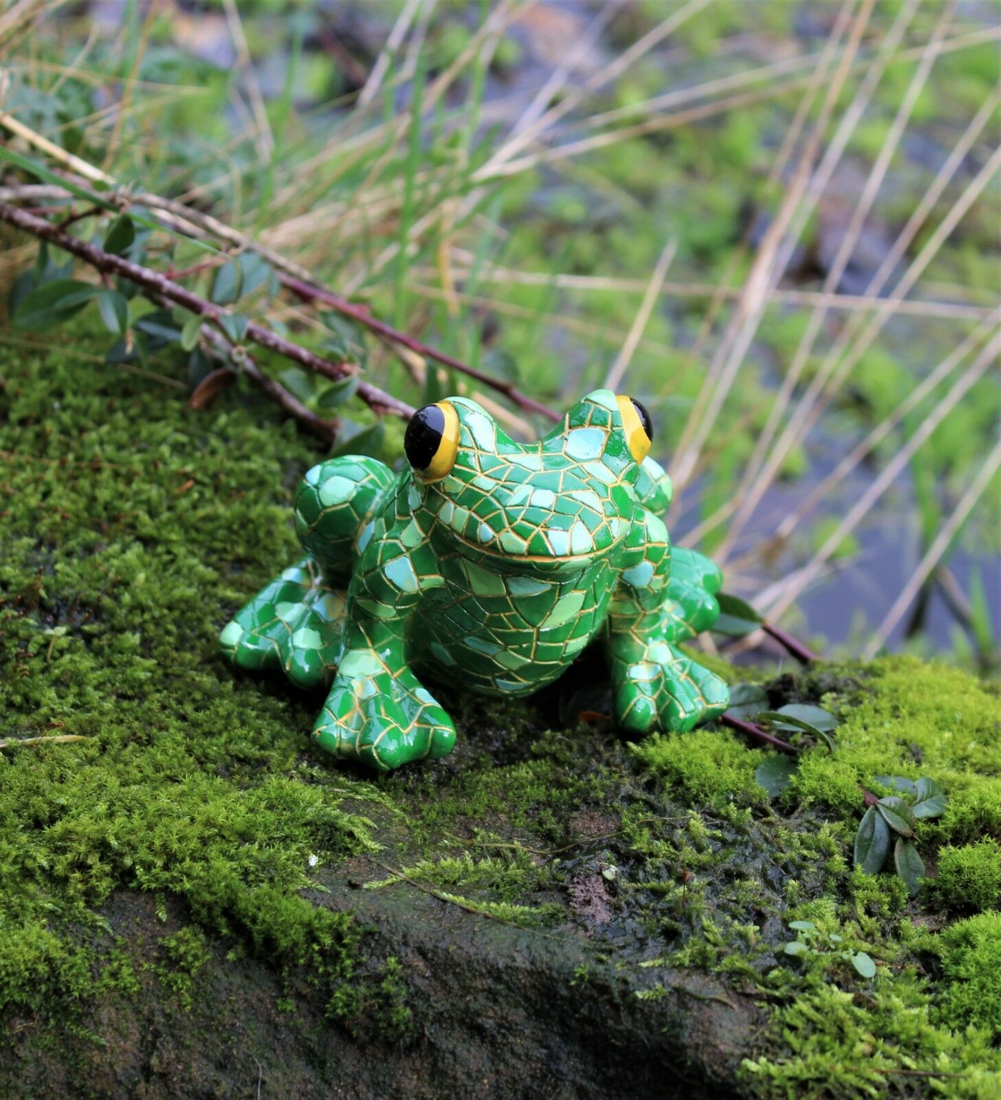 Mosaic Garden and Tree Frog