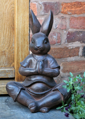 Yoga Rabbit