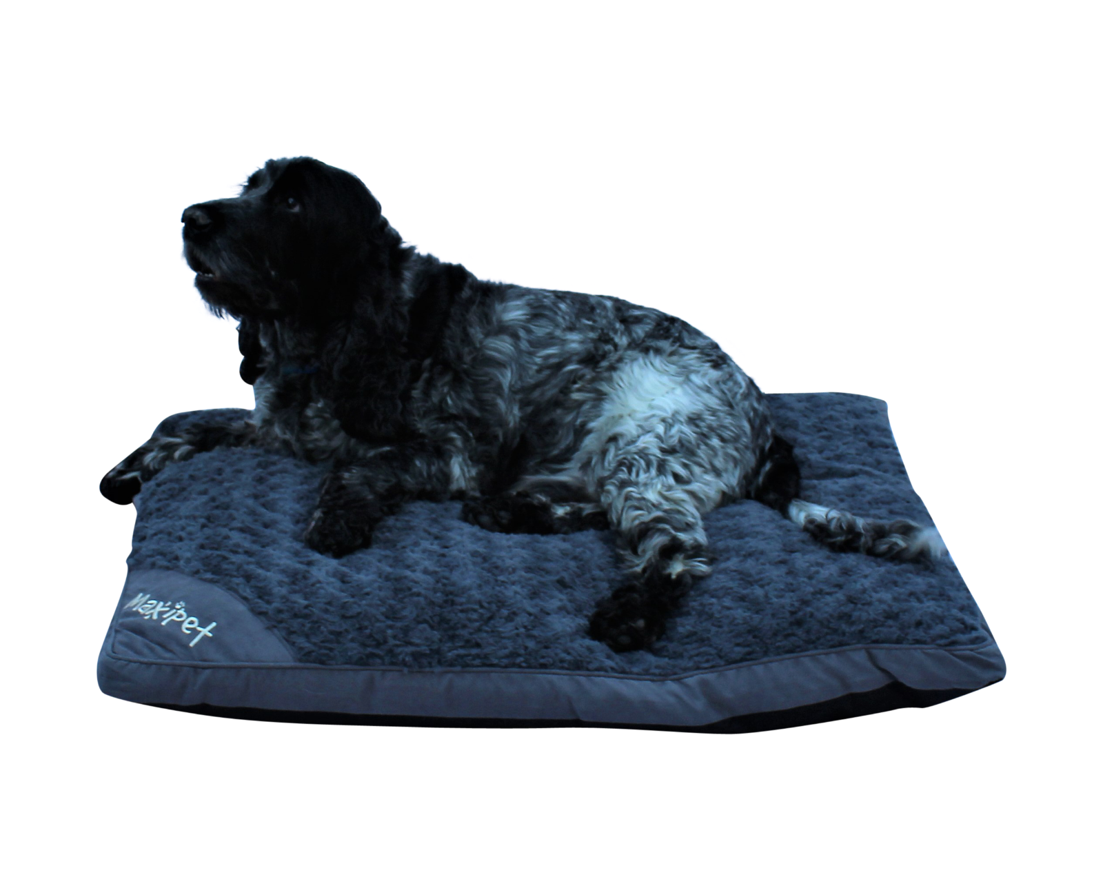 Super Soft Pet Bed Cushion