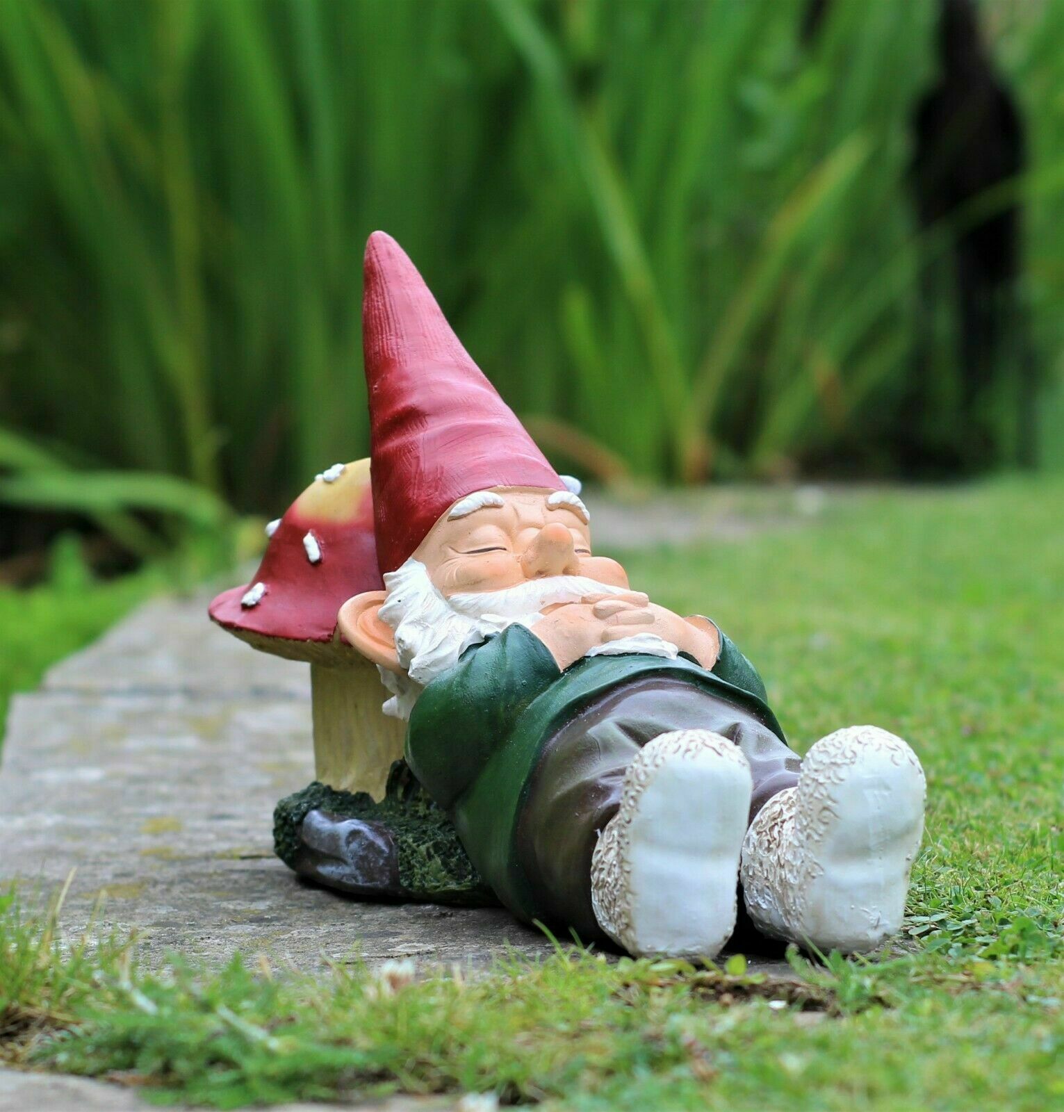 Sleeping Gnome