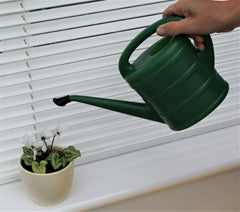 Small Green Watering Can With Rose