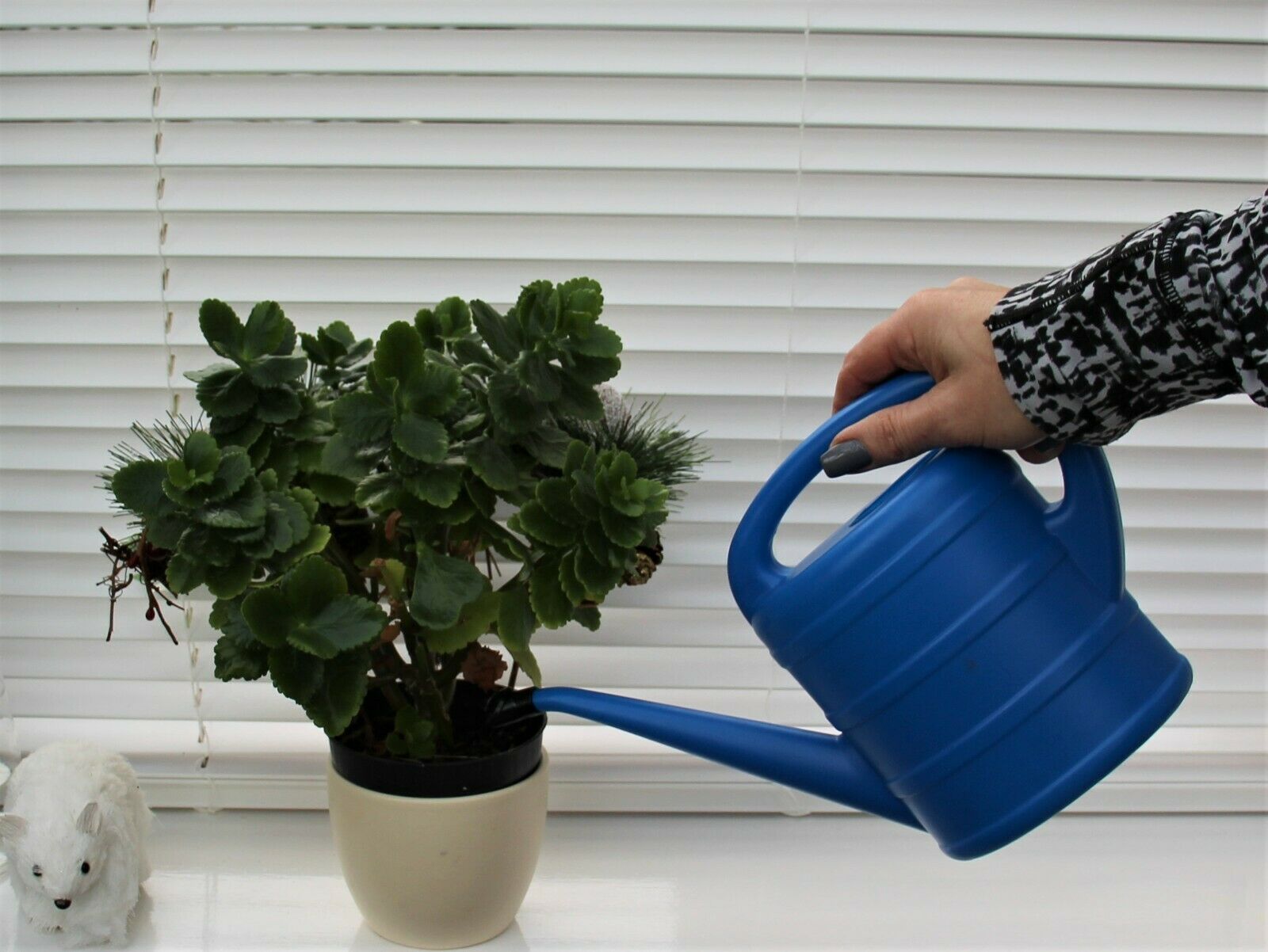 Blue Watering Can 1 Ltr