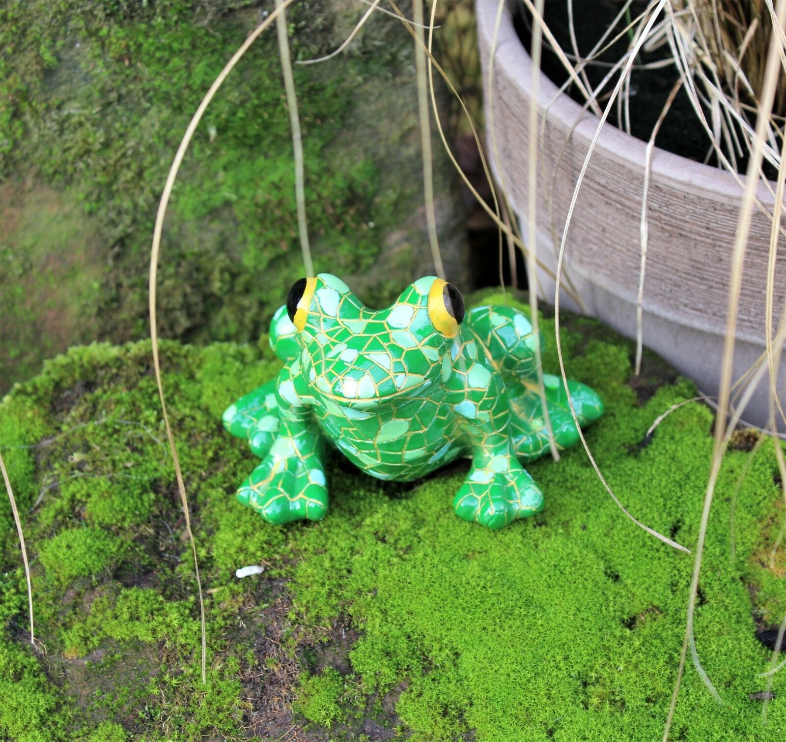 Mosaic Garden and Tree Frog