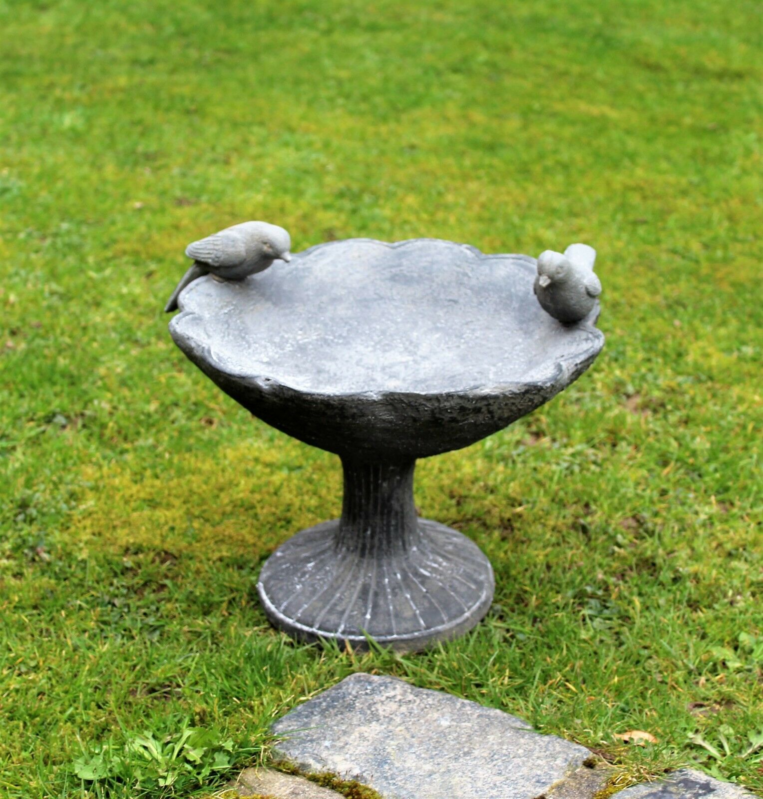 Bird Bath