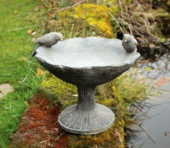 Bird Bath