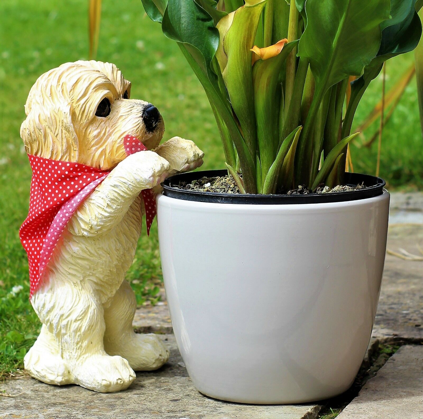 Peeping Puppy Ornament