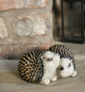Pair of Baby Hedgehogs