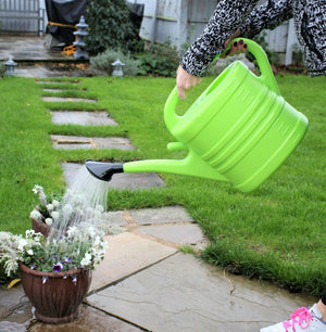 Lime Green Watering Can With Rose