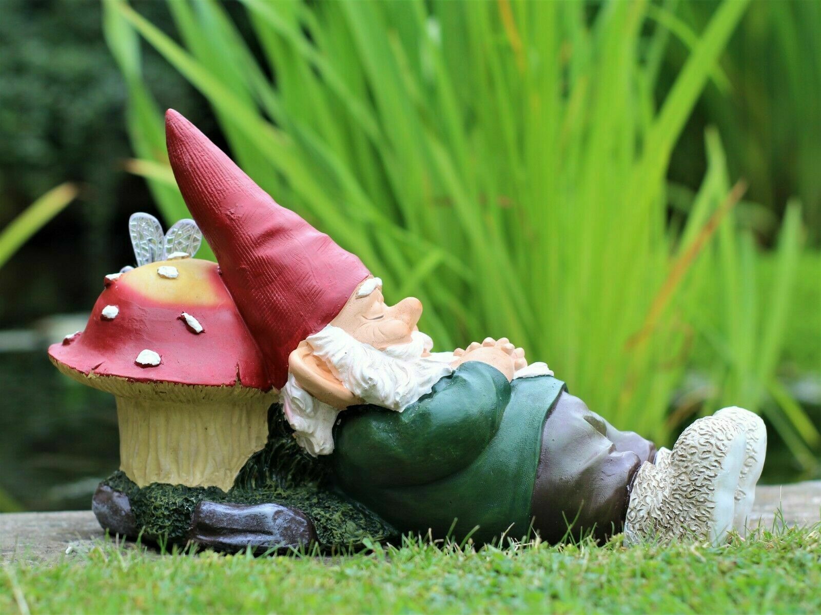 Sleeping Gnome