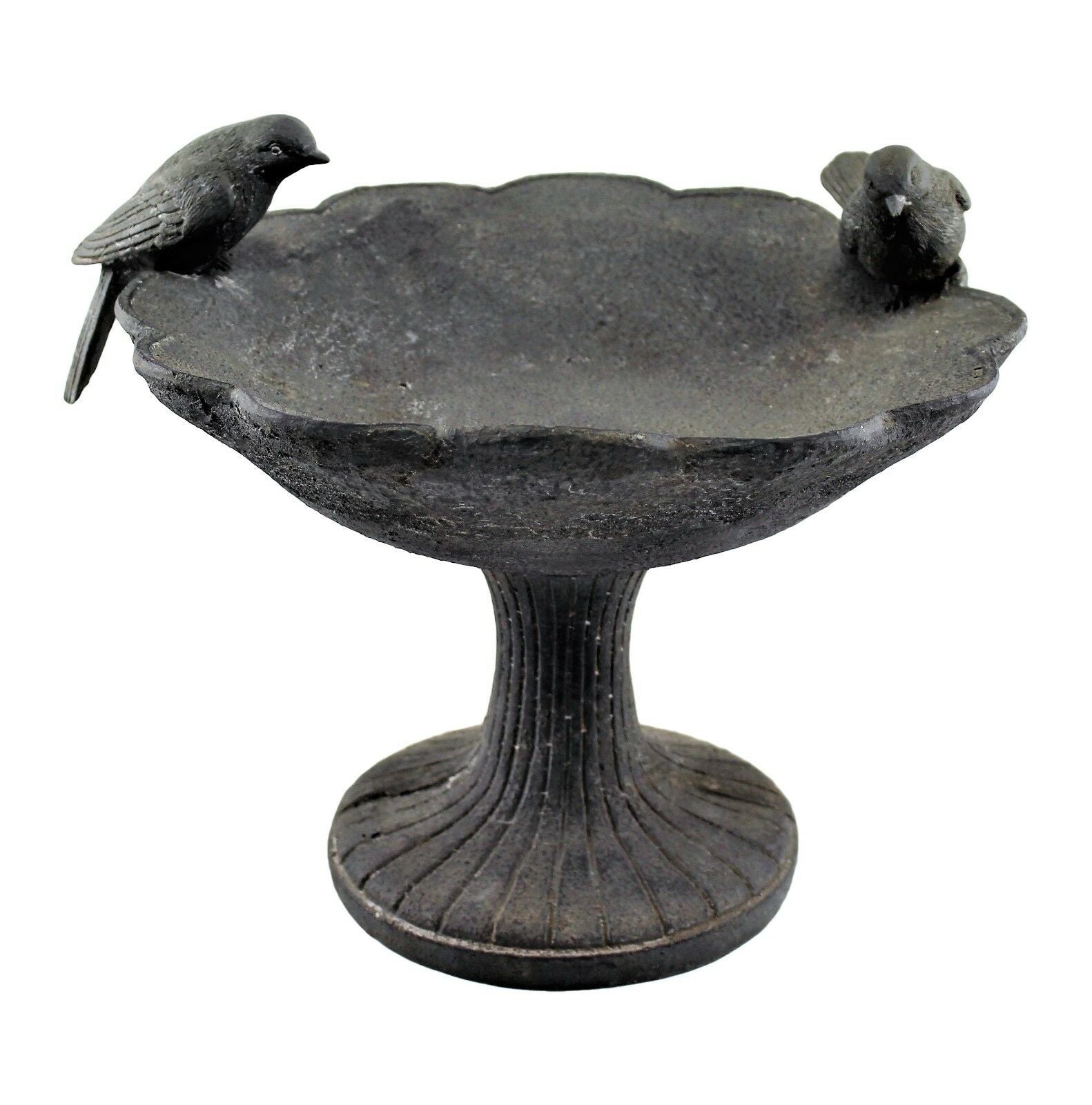 Bird Bath