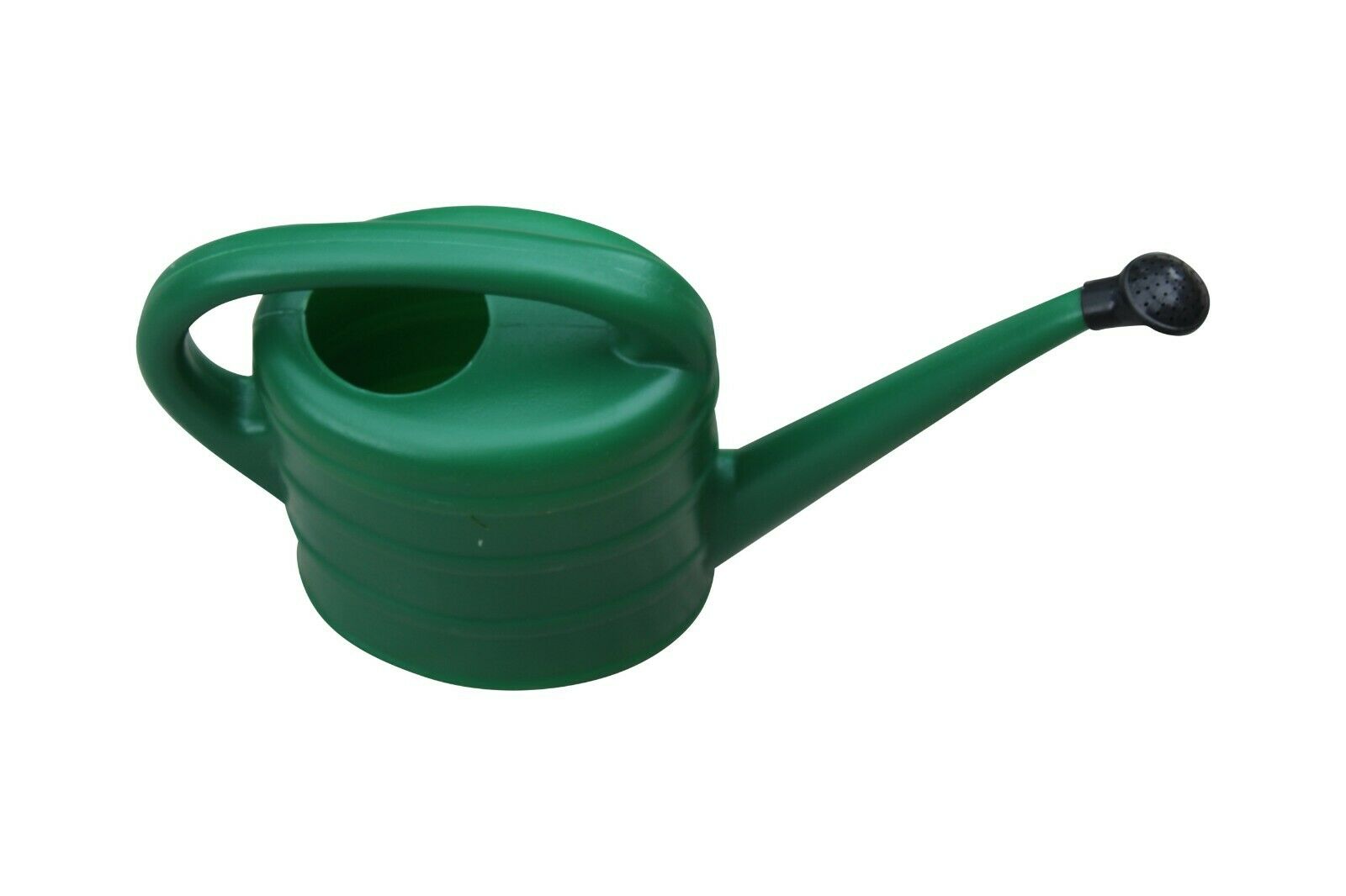 Small Green Watering Can With Rose