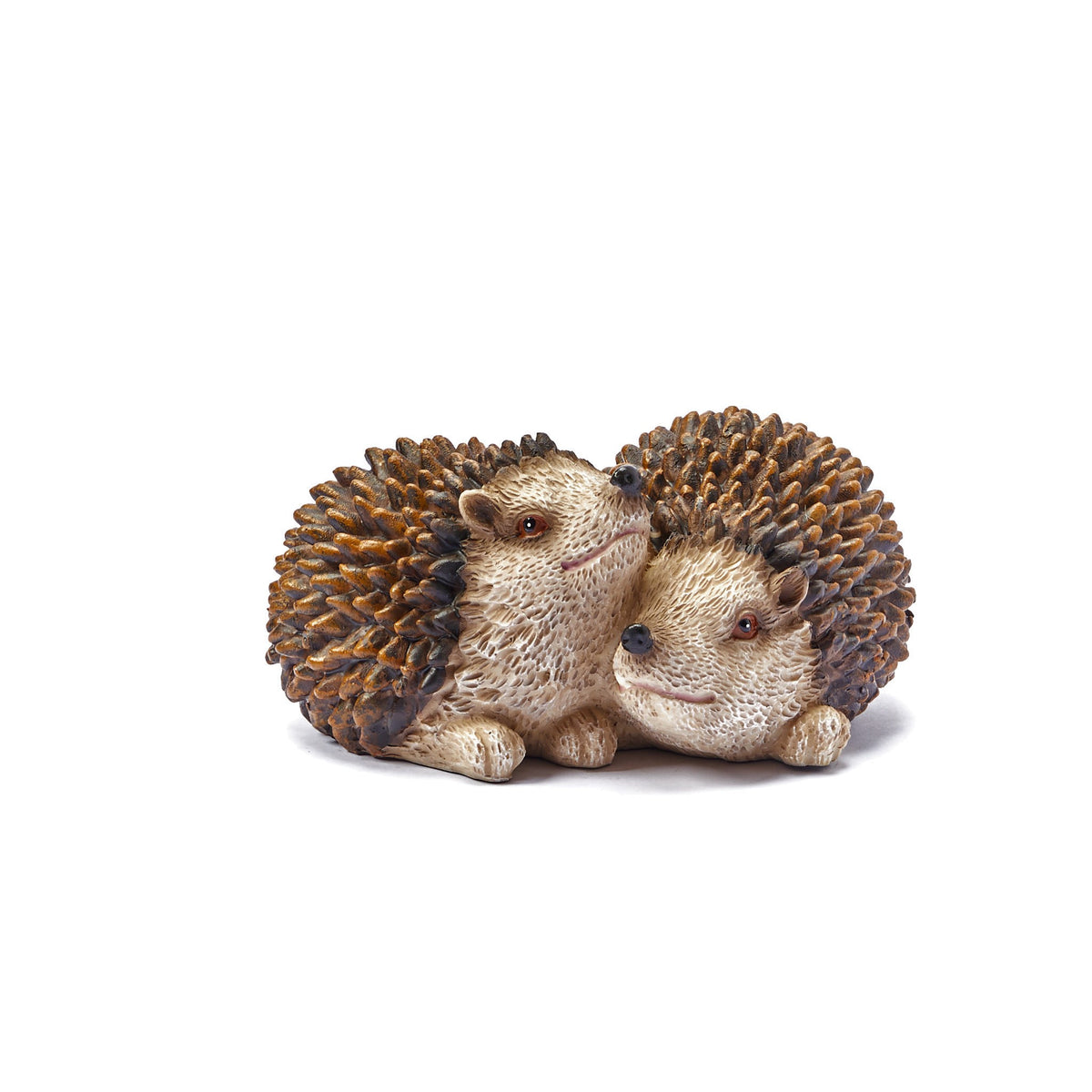 Pair of Baby Hedgehogs