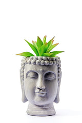 Buddha Head Planter