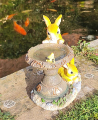 Solar Powered Rabbit Bird Bath