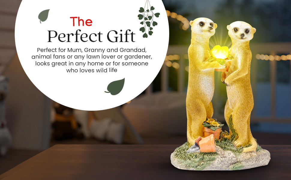 Valentine Solar Meerkat Couple Garden Ornament